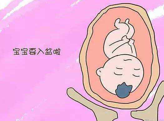代孕官网网站（南京最好的供卵医院在哪里）